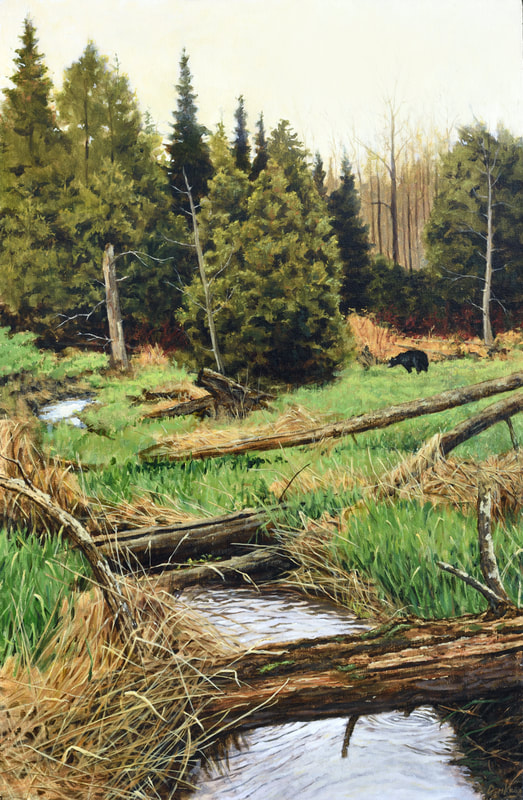 Bear
Ontario Landscape
spring creek
artwork
