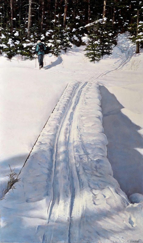 Kolapore
cross country skiing
winter scene