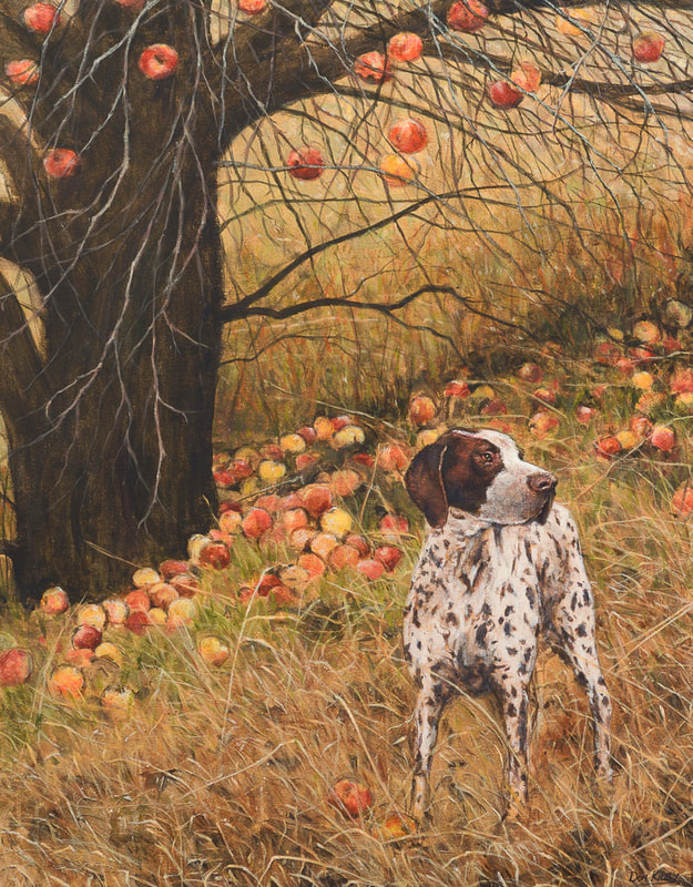 pointer
dog portrait
apple tree