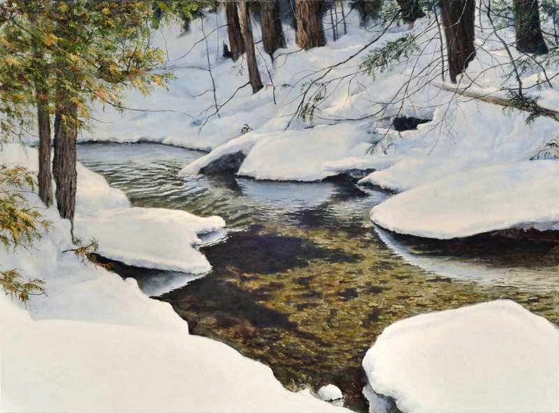 winter scene
creek
grey county