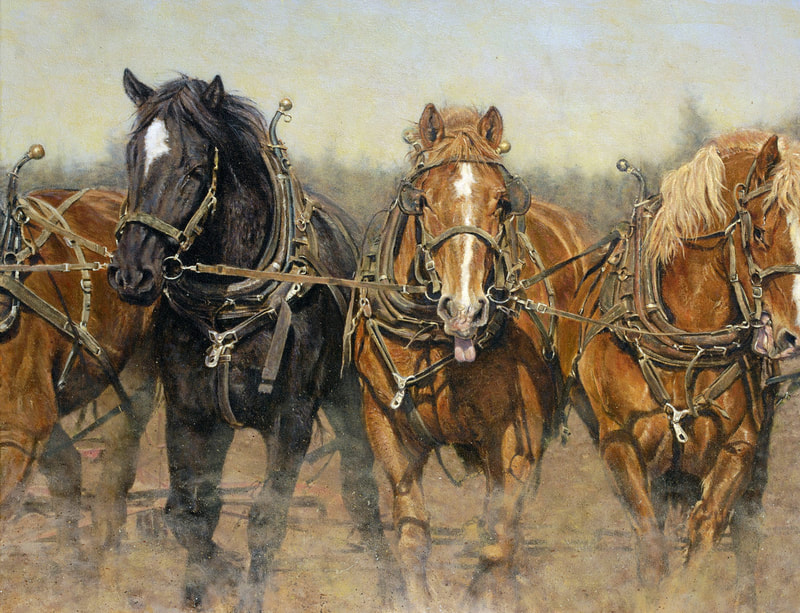 work horses
old style farming
Belgians 