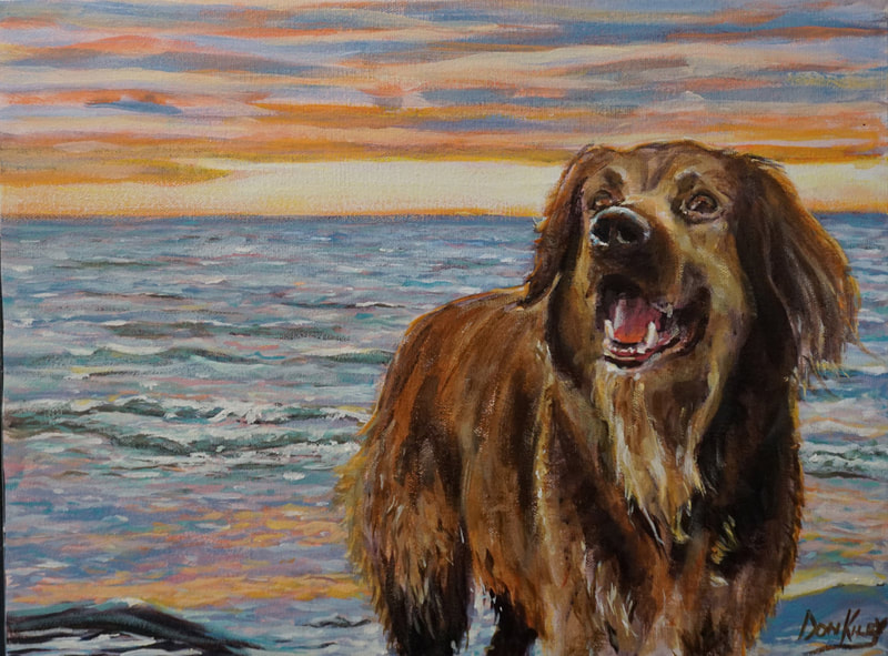lake huron sunset
happy dog