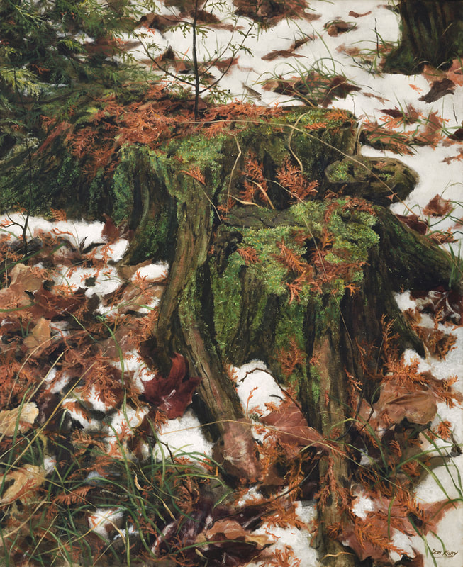 winter scene
cedar bush
tree stump